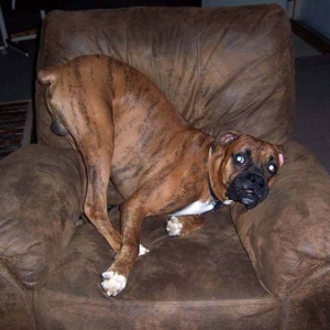 Mugsy