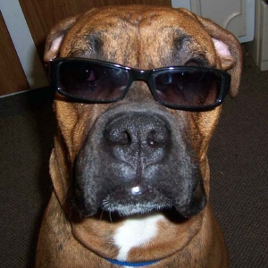 Mugsy