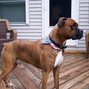 Mugsy