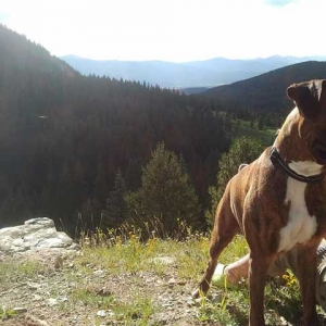 Charlie