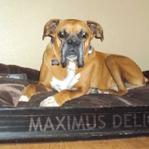 Max & Throne