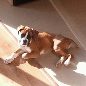 Kaiser is getting sooooo big