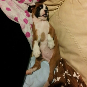 An earlier picture of Kaiser