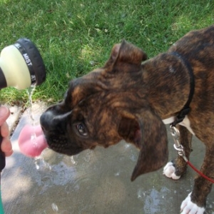 Cooper_052_Resize