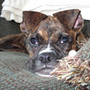 Cooper_060_Resize