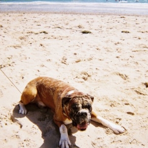 Major's day at the beach