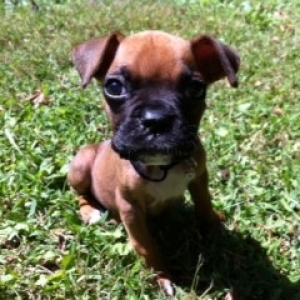Our little Sky!