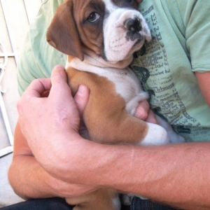 Love at first sight