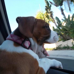 Gettin some fresh air