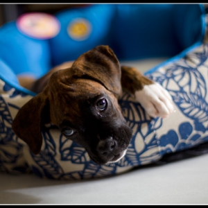 My new bed