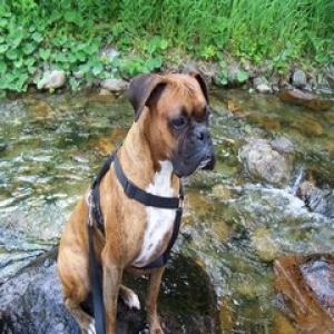sitting on a rock