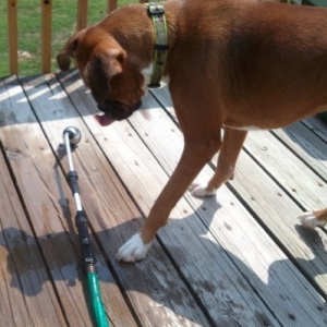 Diamond having fun with water