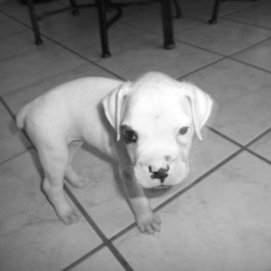 baby9