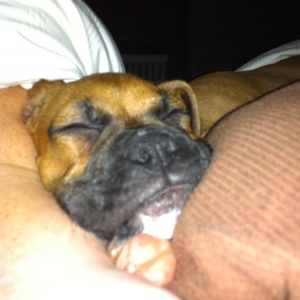 Sleeping Boone