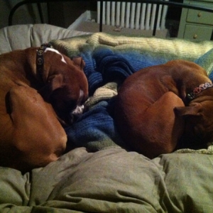 Boone & Bella
