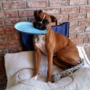 Zoe's fav. toy