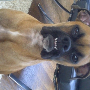 Say Cheese