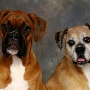 Bentley & Molly