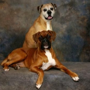 Molly & Bentley
