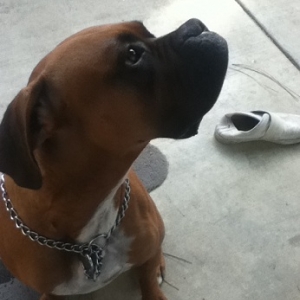 cuddi outside