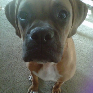helloOoO cuddi