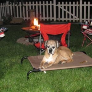 Molly bonfire