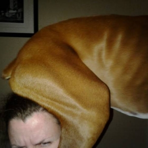 Butthead