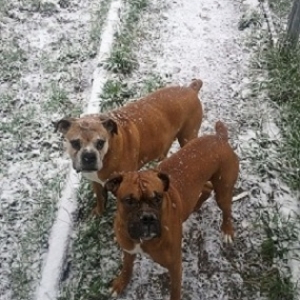 Titon&Coby