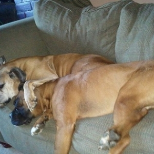 Titon&Coby