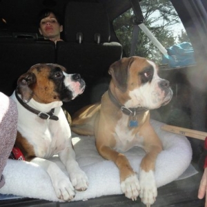 Chillin in the truck