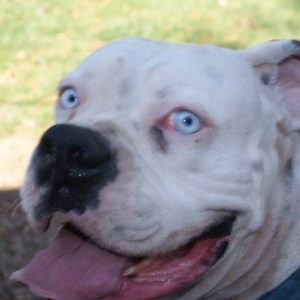 Romeo up close