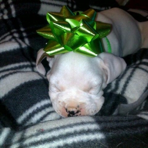 waiting for Santa.(: