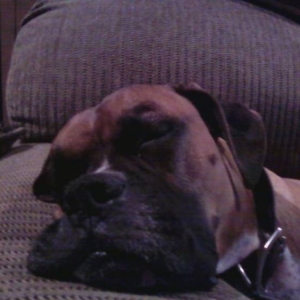 Tuckered Out