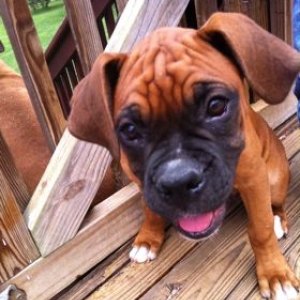 Reuben