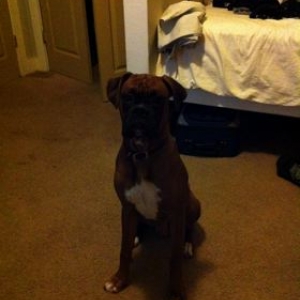 Snack please? Reuben