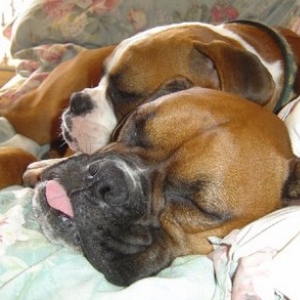 Tige & Tessa