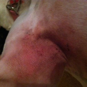 Skin irritation