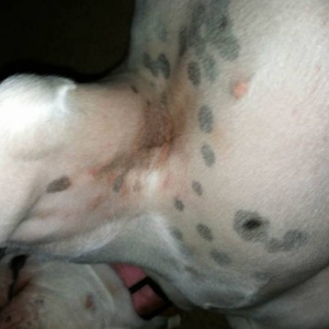 Skin irritation