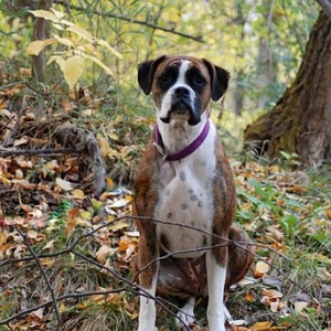 Delilah Jean <3