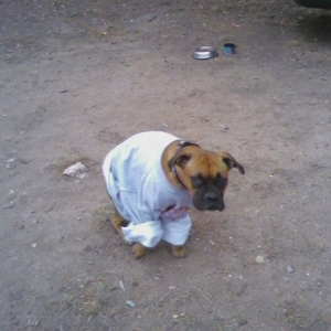 Cold Roxy