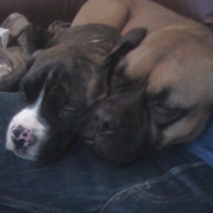 Cuddle time