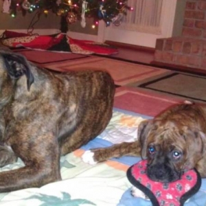 Maya and Max