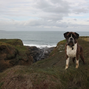 Boswellin