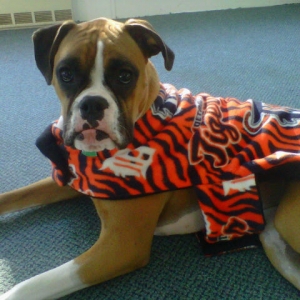 Tiger fan Presley