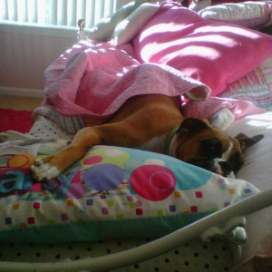 Presley on Daughters bed