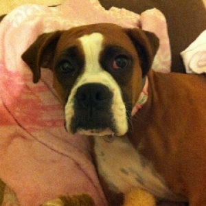 Marley