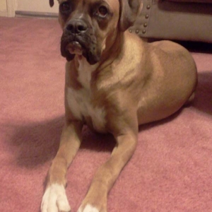 Baxter being sweet