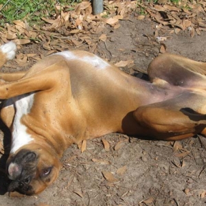 Baxter chilling