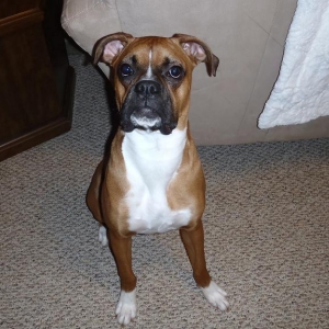 Oakley :)
