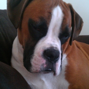 falling_asleep_sat_up